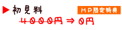 初見料