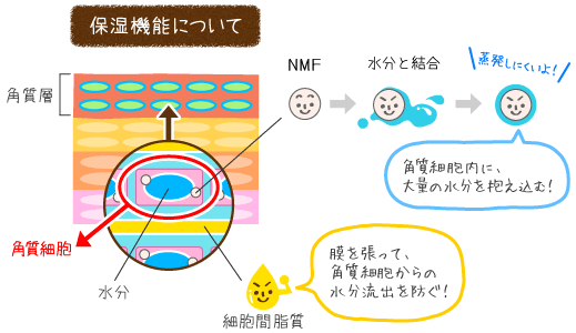 kakusitusou03.gif